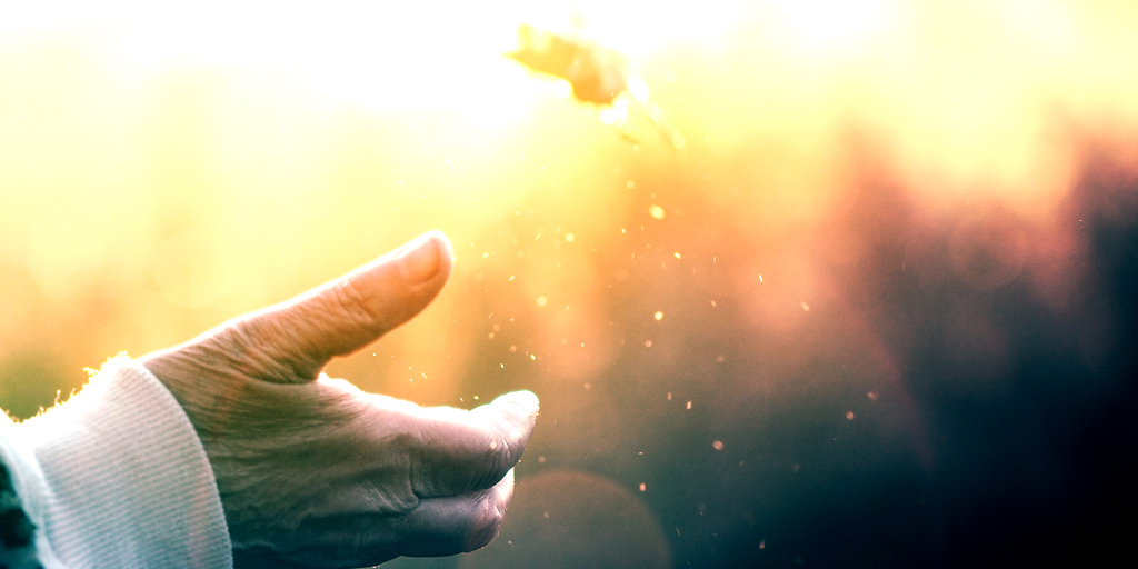 ভালোবাসা ভালো বাসা